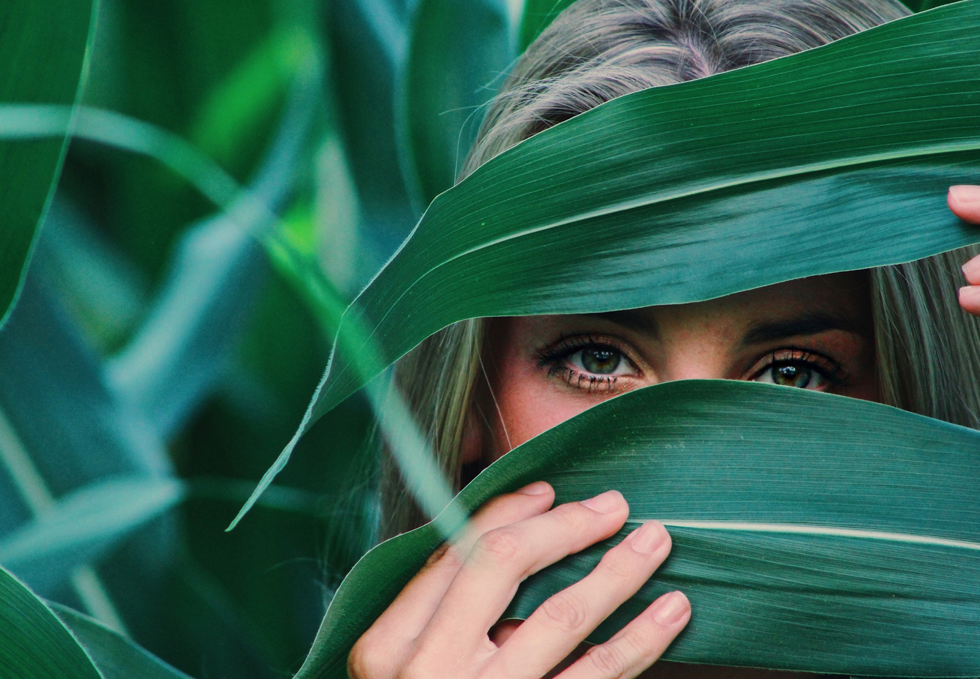 The rumoreding iPhone could not come in pink